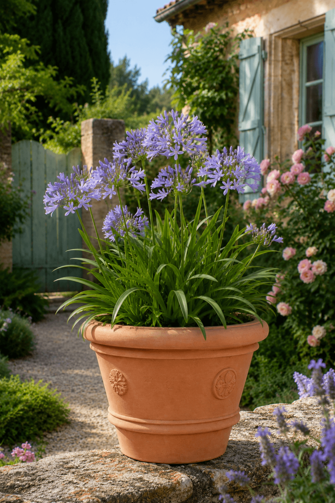 Pot rond en terre cuite d’Impruneta avec blasons